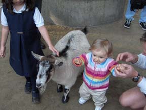 This petting Zoo is great!