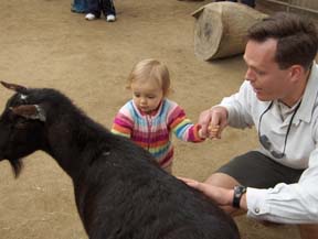 Here's another goat!